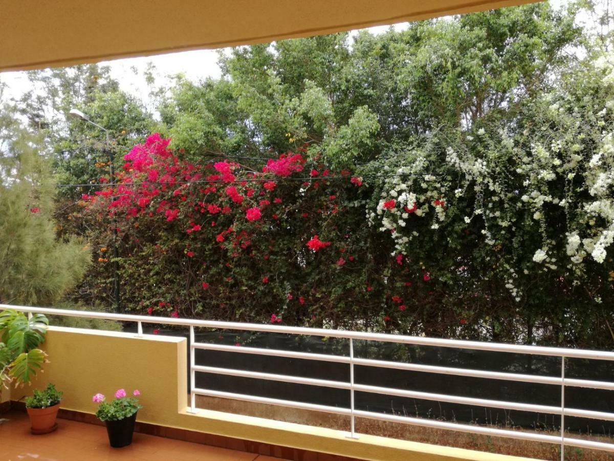Apartamento Refugio Madeira Caniço Exterior foto